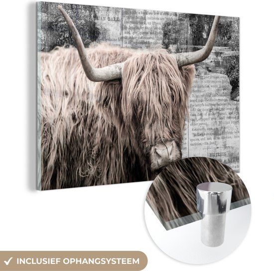MuchoWow® Glass Painting 60x40 cm - Acrylic Glass Painting - Scottish Highlander - Newspaper - Retro - Photo on Glass - Paintings