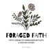 Foraged Faith: Poetic learning for common Missouri plants & their uses for kids