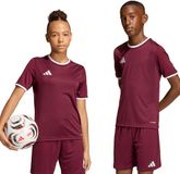 adidas teamwear adidas T-shirt Kinderen Entrada 26 Jersey Bordeauxrood - Maat 164cm