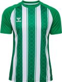 Hummel Kindertrui Match Groen/Wit Korte Mouw Ronde Hals Polyester 10 Jaar Unisex