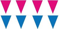 Shoppartners Bv Feest versiering punt vlaggetjes pakket - 60 meter - blauw en roze