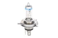 BOSCH 1 987 301 160 Diversen deel