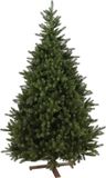 Our Nordic Christmas Kentucky Deluxe Kunstkerstboom - 243 cm - Donkergroen - Ø163 cm - 2754 tips - Houten voet