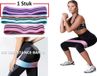 Petasos Paarse Weerstandsband - Large - 45cm x 8cm - 100kg Weerstand