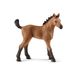 schleich HORSE CLUB Quarter Horse veulen speelfiguur bruin