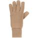 Icecat Classic Merino Handschuhe