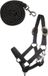 HKM Hobby Horsing Basic Hoofdstel en leidlijn Zwart One Size