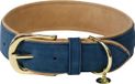 Kentucky Dogwear - Hondenhalsband - Gevlochten Nylon Hondenriem - Lichtblauw - Maat XS (37cm)