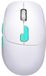 Defender NITTA Serie - Souris optique sans fil - 1600dpi - 2.4 GHz et Bluetooth - Blanc