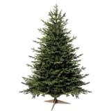 FairyTrees Kunstkerstboom – Nordmann, 180 cm