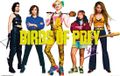 DC Comics Poster - Birds Prey Group - 61 x 91,5 cm - Multicolore