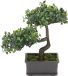 H&S Collection Kunstplant Bonsai boompje in pot - Japans decoratie - 27 x 16 x 24 cm - Groene blaadjes
