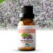 Zenful Tijm olie - 100% Puur - Biologische Etherische Olie - Thyme - Natuurlijk - Tijmolie - 10ml
