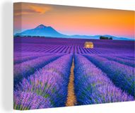OneMillionCanvasses Canvas schilderij 150x100 cm - Lavendel - Paars - Bloemen - Modern - Muurdecoratie