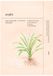 Ondo Beauty 36.5 Ondo Beauty - Adenosine & Zhi Mu Lifting Mask 25 Ml - Elasticity And Firmness - Korean Skincare