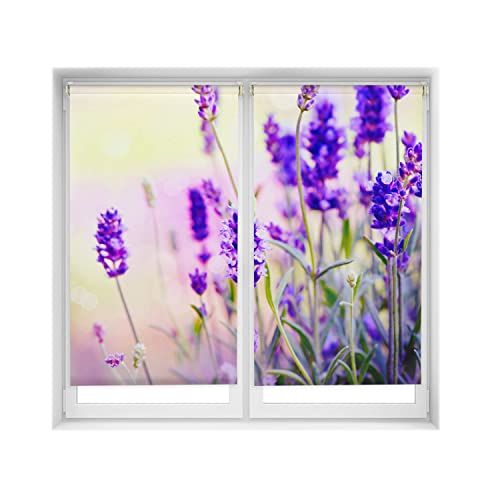 Blindecor Easy Pack 2 rolgordijnen bedrukt - Lavendel - 80x150cm (2 stuks)