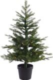Everlands Mini kerstboom tafelboom H120 D73 cm Grandis pot tree