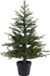 Everlands Mini kerstboom tafelboom H120 D73 cm Grandis pot tree