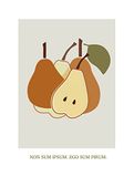 Komar Muurschildering - Cultivated Pears - 30 x 40 cm