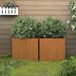 Maison Exclusive - Deux jardinières en acier Corten, dimensions : 49 x 47 x 46 cm