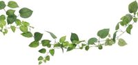 CHAKS Kunstplant/hangplant slinger - Klimop/pothos - groen - 180 cm