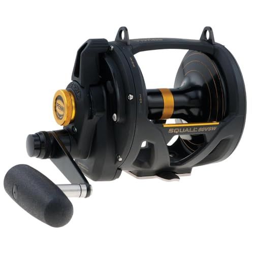 PENN Squall Hendel Drag 2 Speed Multiplier Reel - Zoutwater Vismolen