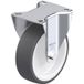 Blickle B-POTH 125G Bokwiel Wieldiameter: 125 mm Draagvermogen (max.): 250 kg 1 stuk(s)