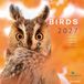 Bekking & Blitz Birds Kalender 2027 Wandkalender Dieren Natuur nl