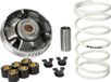 Malossi Variateurset Multivar 2000 voor Honda SH, Bali 100cc 2 Takt