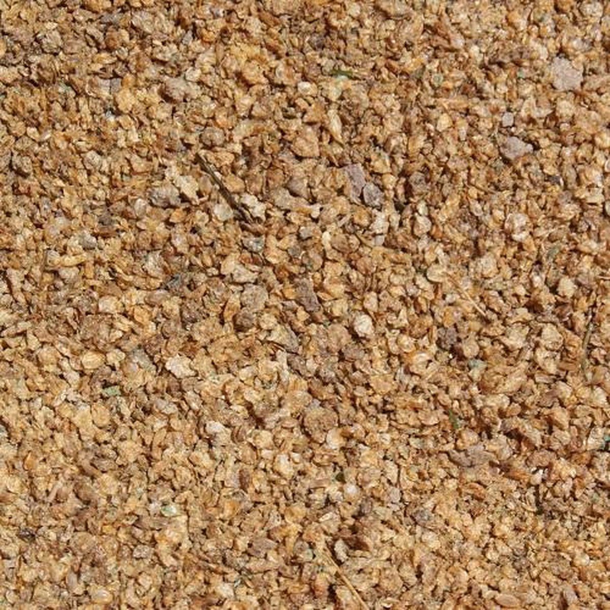 Voervoorvis Watervlooien (Daphnia) (1 Liter)