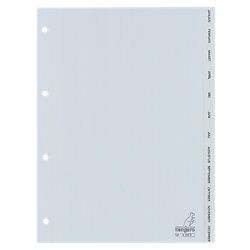 Tabbladen G412J A4 Grijs 12 tabs 4-gaats polypropyleen jan - dec
