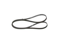 BOSCH Keilrippenriemen 1987946292
