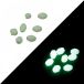 Vercelli Perles Soft Oval 25 Unités