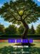 vind Bookmundo vind bolden nu: tennis mental styrke