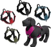Jack and Vanilla - EXPEDITION - Honden Tuigje - Rood - Maat XS