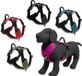 Jack and Vanilla - EXPEDITION - Honden Tuigje - Rood - Maat XS
