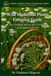 Wild Medicinal Plants Foraging Guide