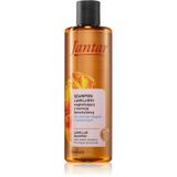 Farmona Jantar Shampoo + Conditioner, Jantar Amber Essence Shampoo (Vloeibare shampoo, 300 ml)