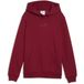 Puma Junior Hoodie Ess Small No.1 Logo
