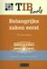TIBtools Belangrijke zaken eerst Paperback