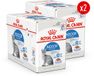 Royal Canin Sterilised Indoor in Jelly - 24 x 85 g