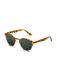 TWIG Concept Milano Zonnebril 'Pollock' bruin