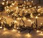 Annas Collection Cluster lights 1920l/11.5m led warm wit - 4m aanloopsnoer zwart