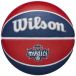 Wilson WNBA Team Eerbetoon Basketbal
