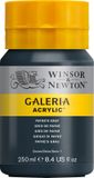 Winsor & Newton Galeria Acrylverf - 250ml - Paynes Gray