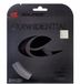 Solinco Polyester Tennis String 1.25mm Gris - 12.2m