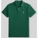 Polo Ralph Lauren pour homme. 710680784526 Le polo piqué vert foncé iconique (M), Casuel, Coton, Manche courte