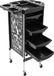 Chariot de salon de coiffure - Trolley pour salon de coiffure - Avec 4 tiroirs extensibles - Inox et plastique - Rectangulaire - Design moderne - Assemblage requis - Noir