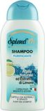 ELJ3X Cleansing Shampoo with Natural Clay and Lemon Extract 300ml
