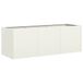 VidaXL Plantenbak 120x40x40 cm koudgewalst staal wit